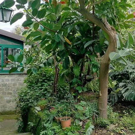 San Renato House 公寓 索伦托