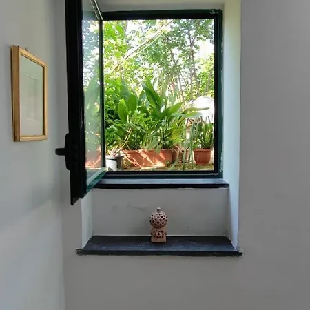 Apartment San Renato House