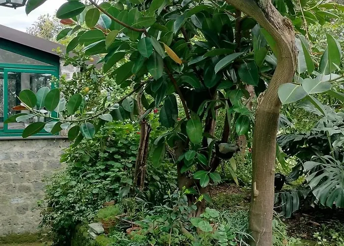 San Renato House Διαμέρισμα Σορέντο